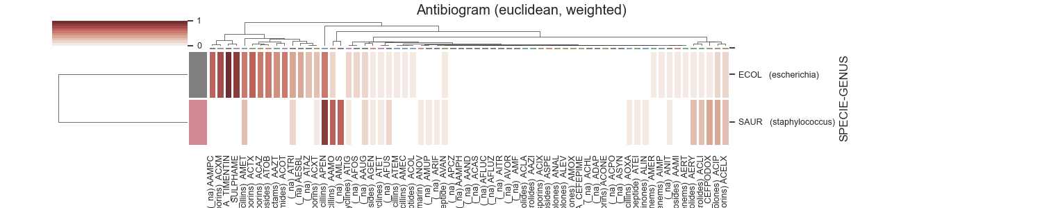 Antibiogram (euclidean, weighted)