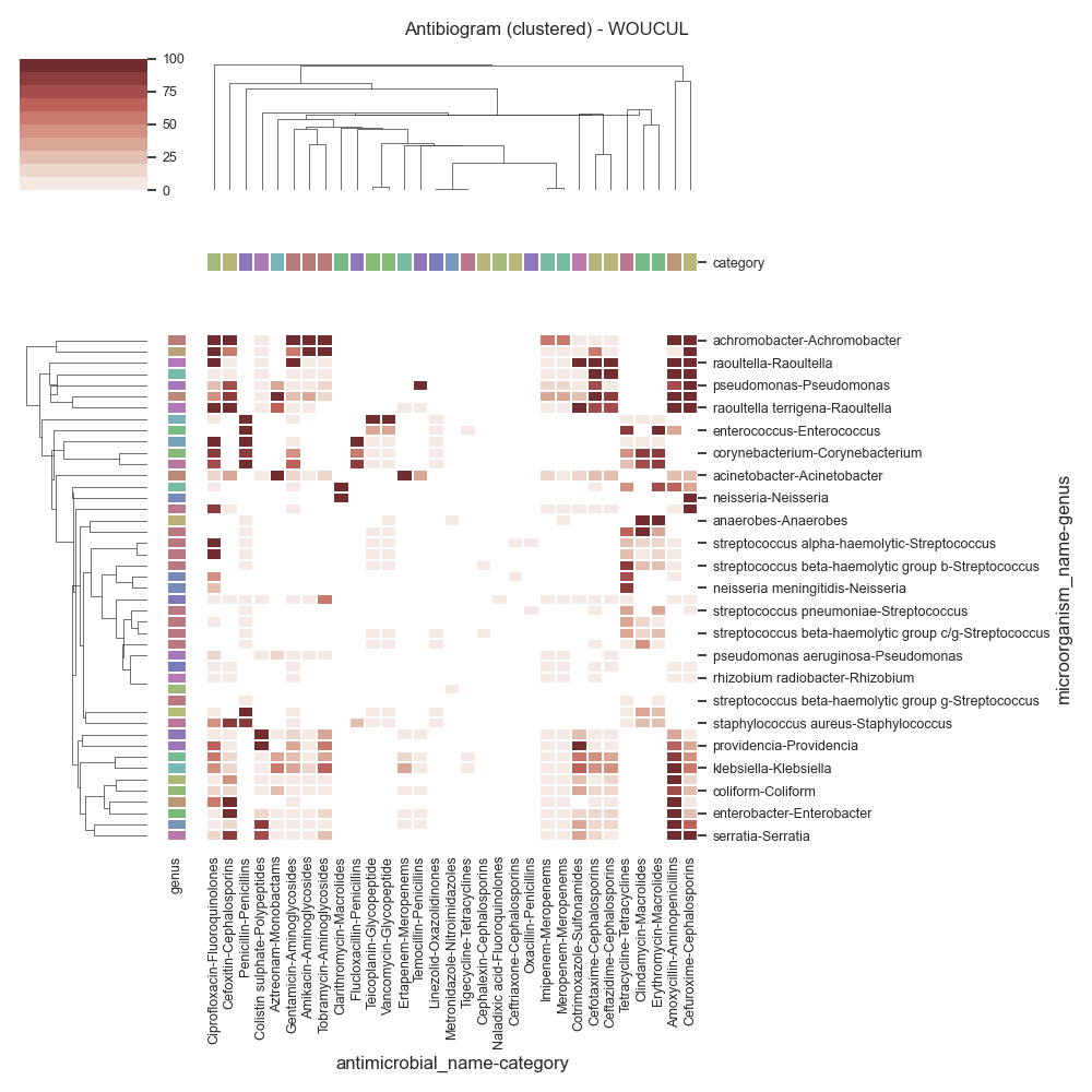 Antibiogram (clustered) - WOUCUL