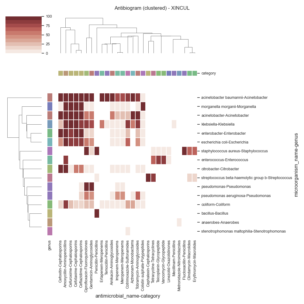 Antibiogram (clustered) - XINCUL