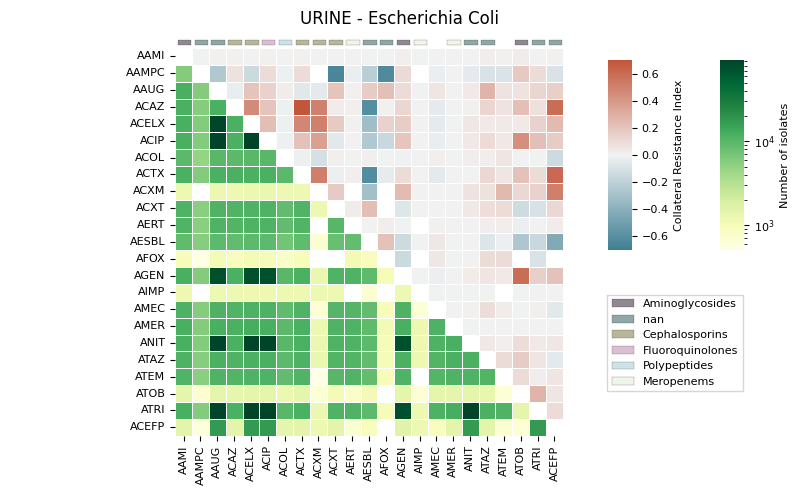 URINE - Escherichia Coli