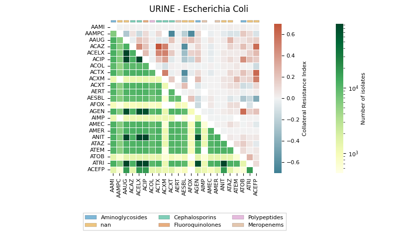 URINE - Escherichia Coli