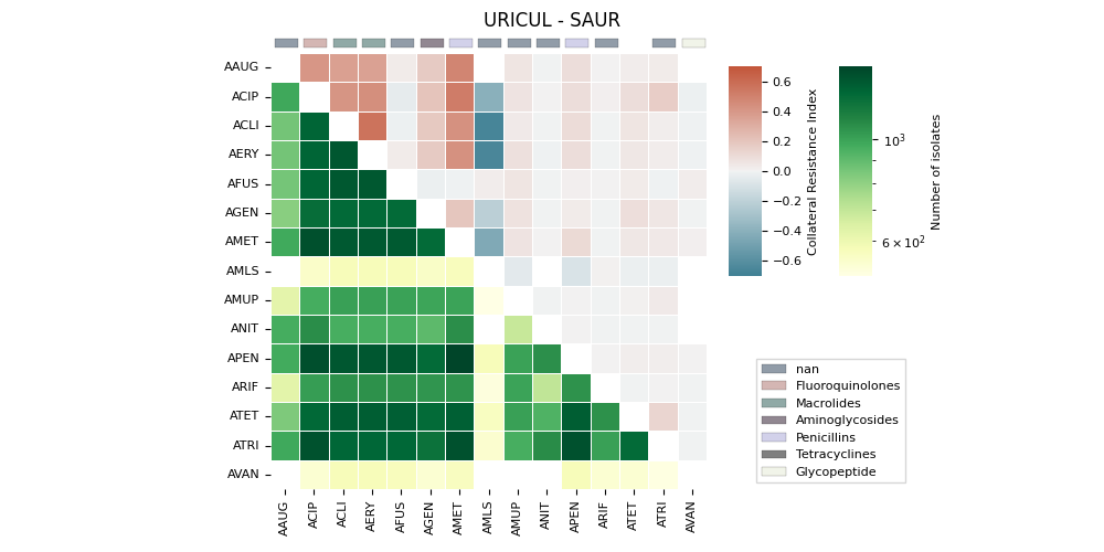 URICUL - SAUR