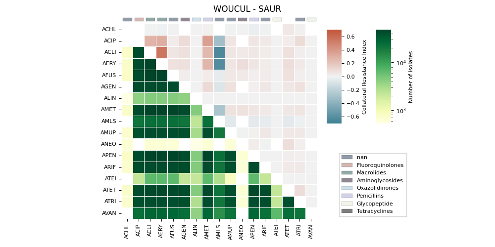 WOUCUL - SAUR